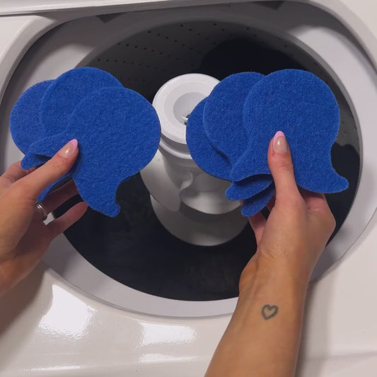 Laundry Pet Hair Removal Fish